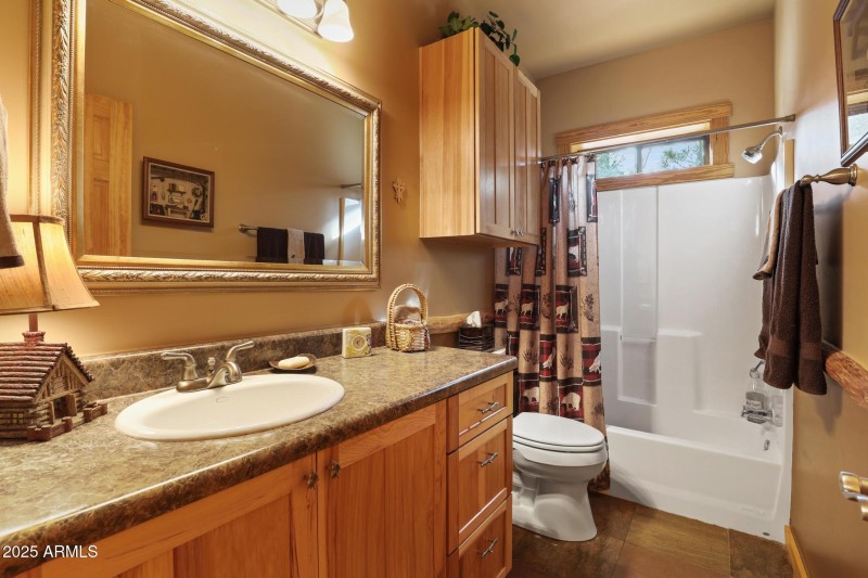 Guest bathroom