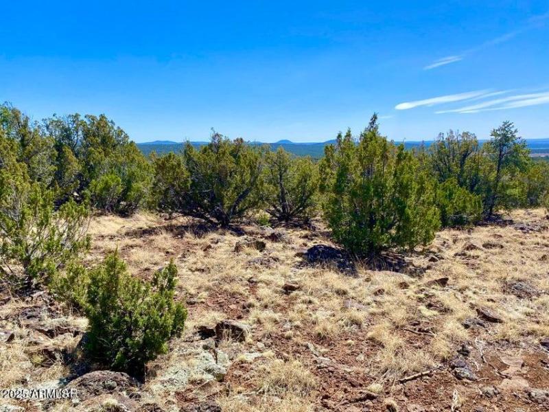 20250503072505850307000000-o