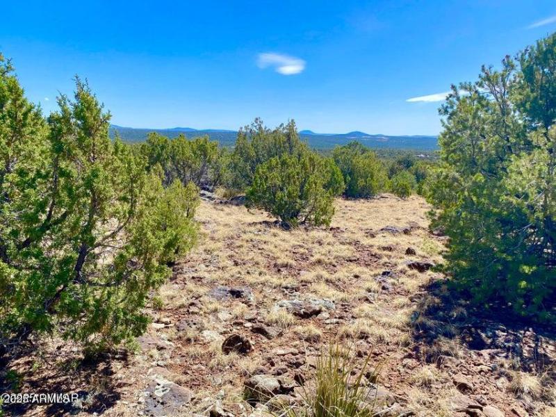 20250503072506169598000000-o