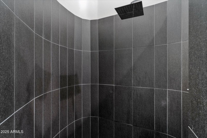 Primary Shower