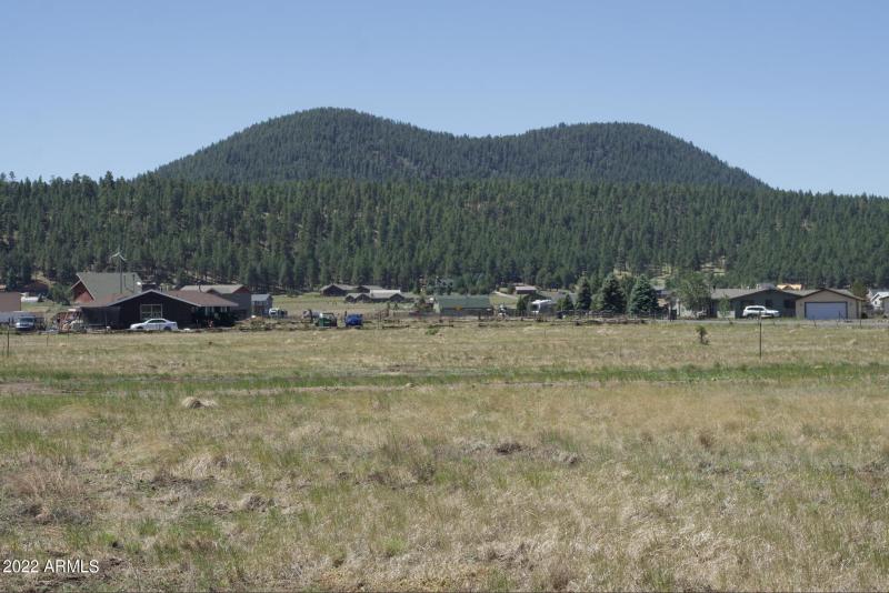 Screen Shot 2022-06-15 at 4.30.07 PM