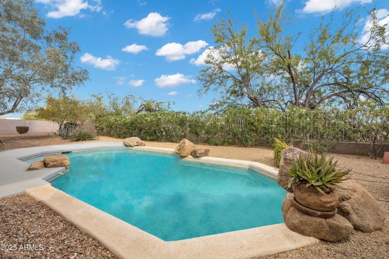 Sparkling Play Pool!