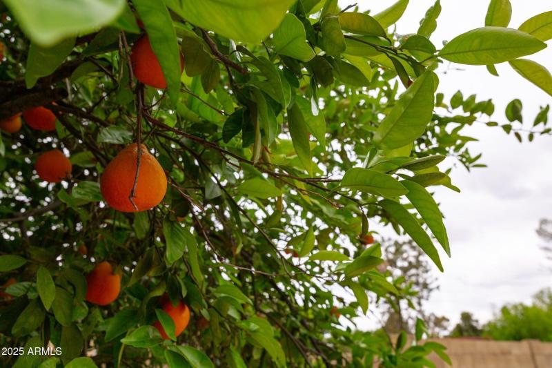 047-4107EastFairviewCircle-Mesa-AZ-85206