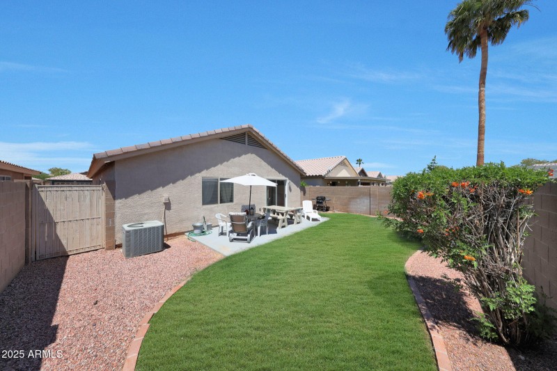 Backyard