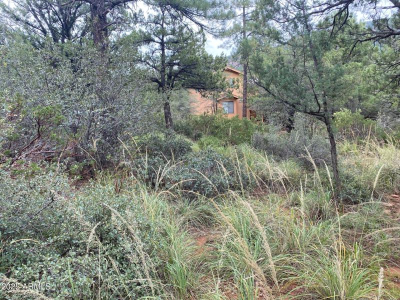 186NorthTrailsEndDrive_55794_3