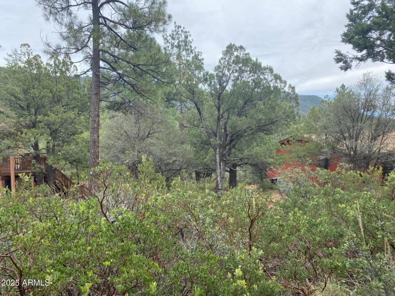 186NorthTrailsEndDrive_55794_4