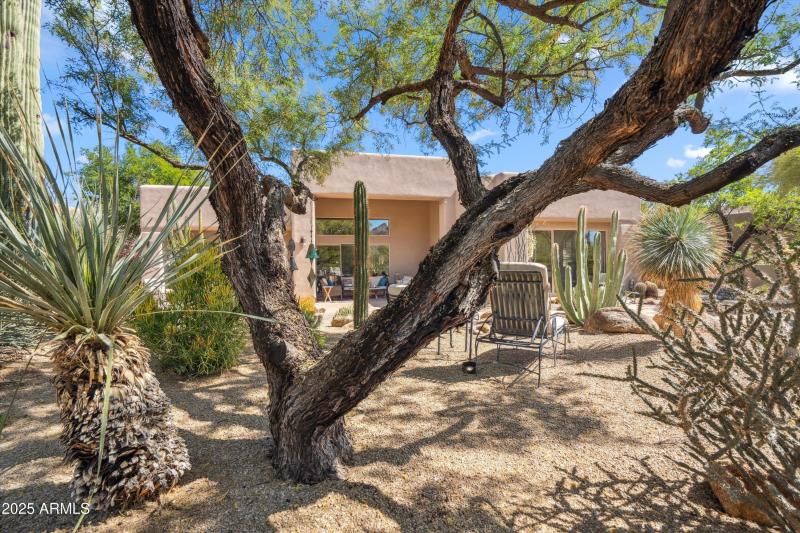 34-Desert Canopy Retreat