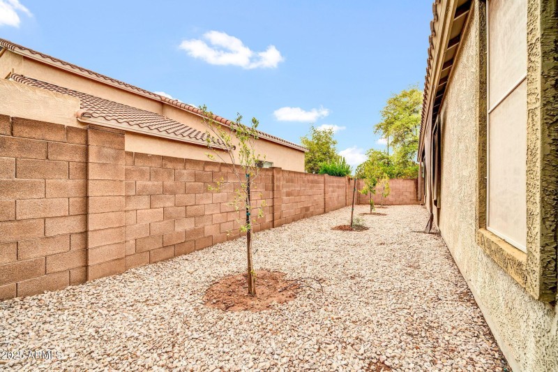 New Trees