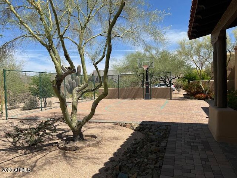 Basketball Court