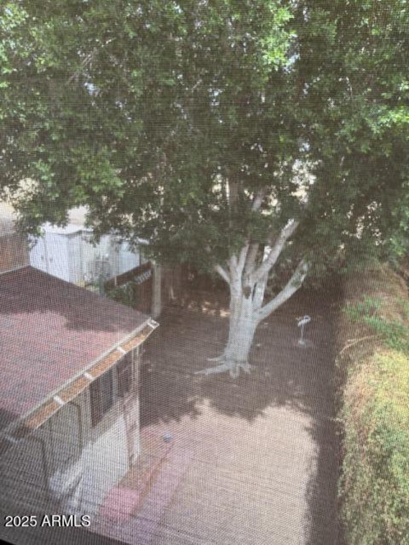 image9