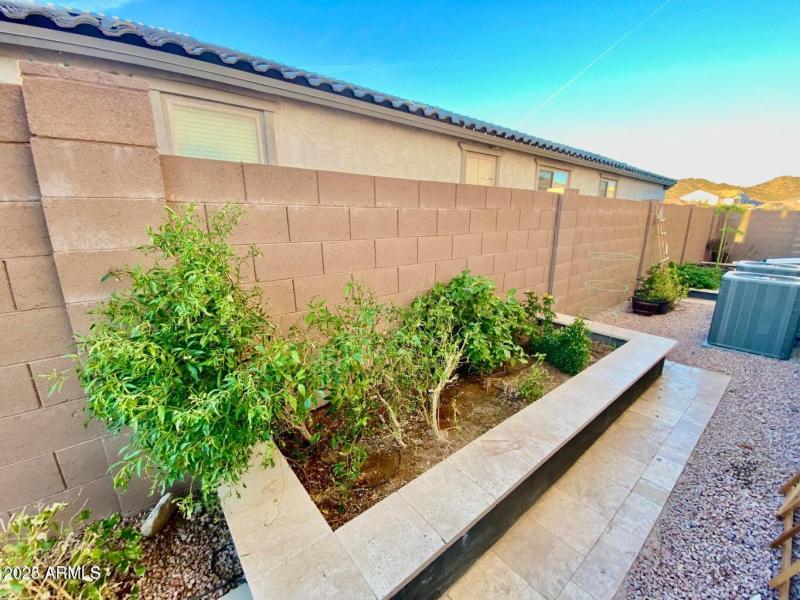 Backyard w/ raised garden