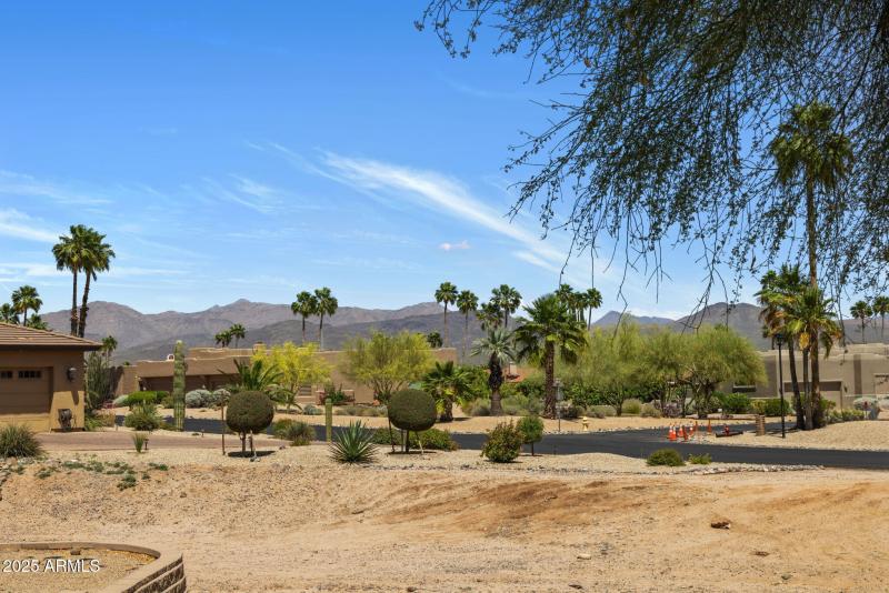 Views from the Back Deck