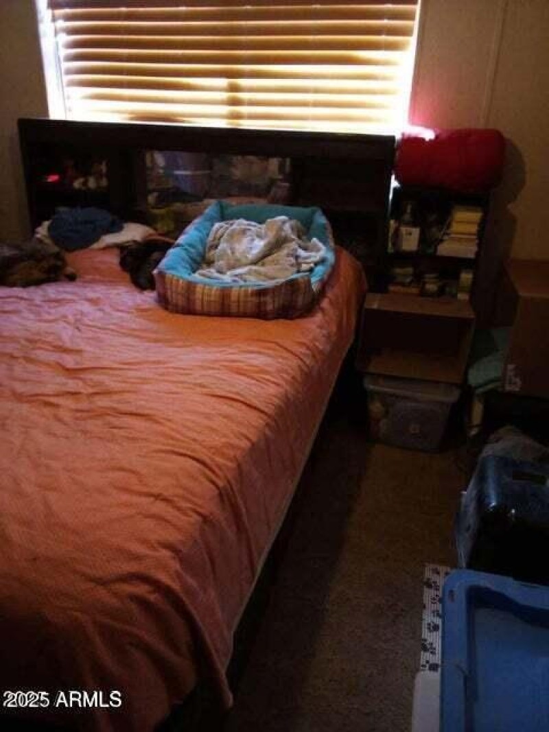 20250226205846981488000000-o