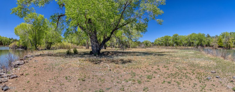 Flat Elevation - Larson rd property rain