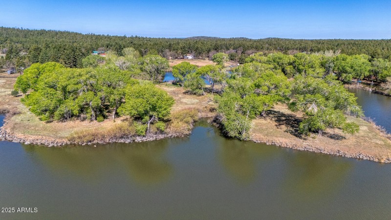 Lake Shoreline - Larson rd property rain