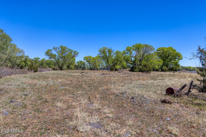 Buildable Area- larson rd property rainb