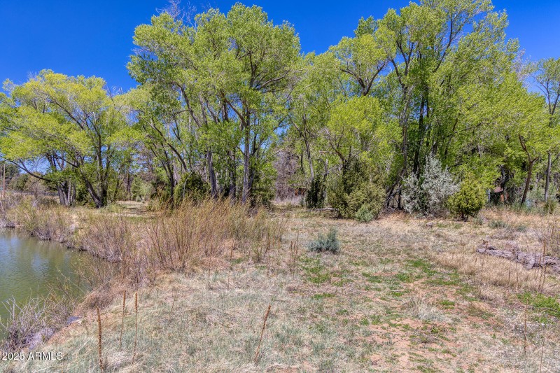 Lakefront Vegetation - Larson rd propert