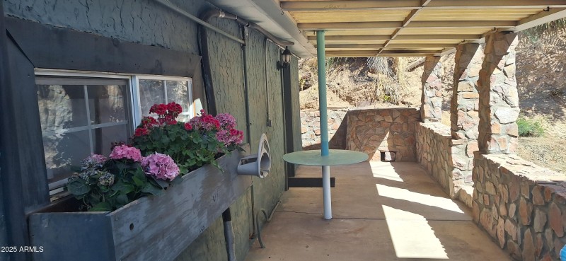 Back patio