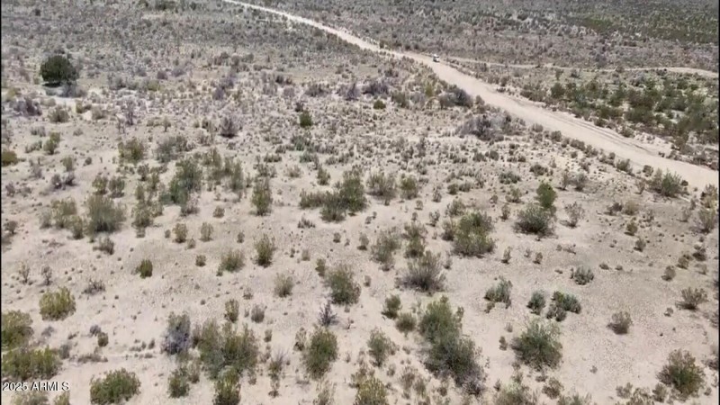 Looking North