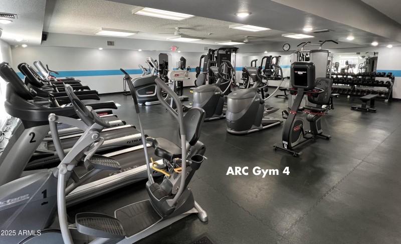 13. Gym 4