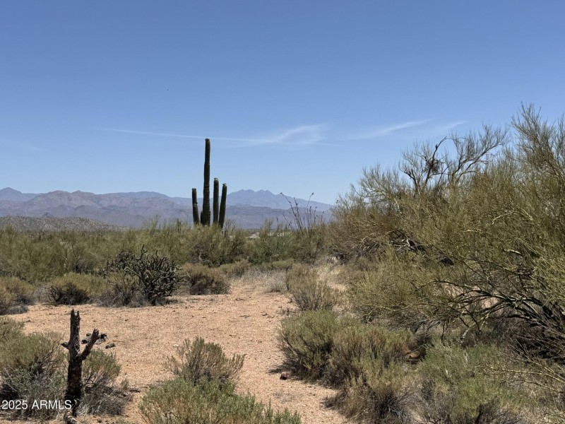 Gorgeous Mountain Views