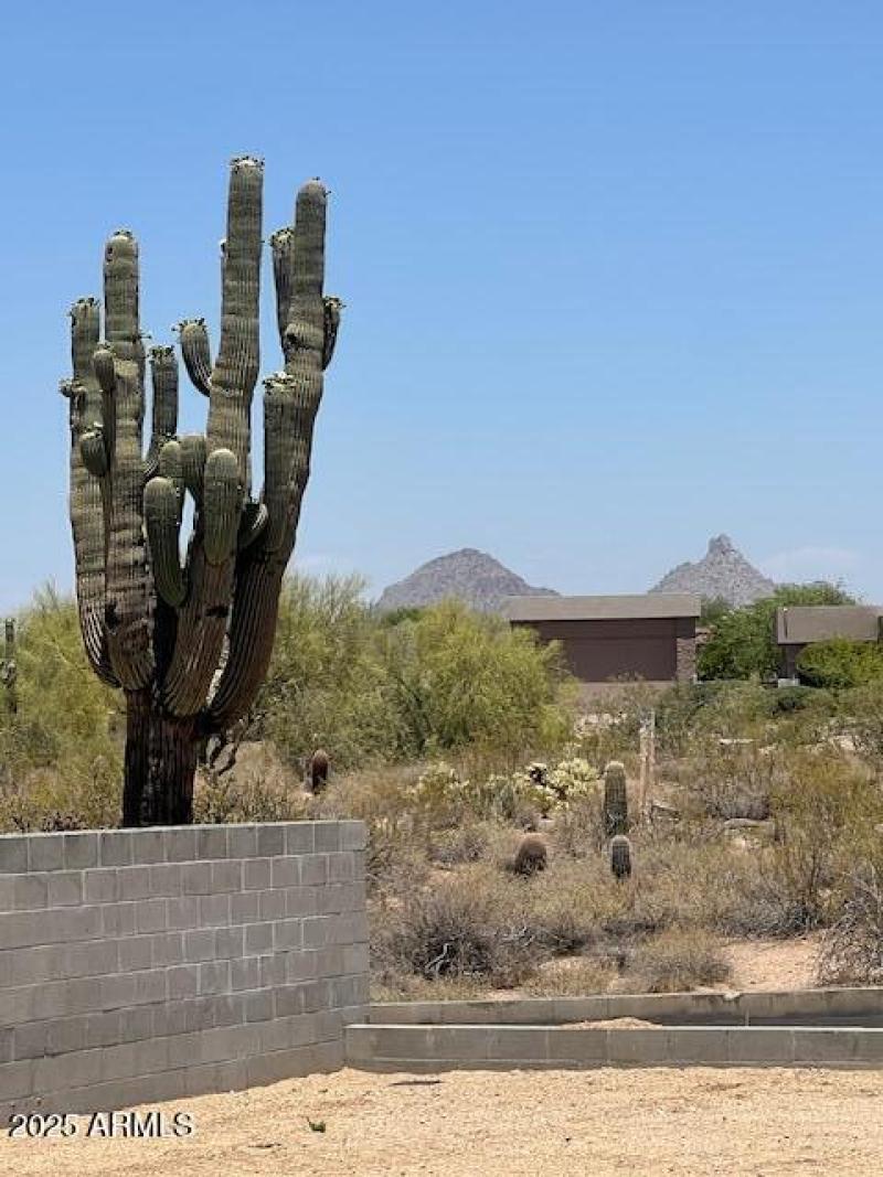 Pima 41 - Great Room View 2