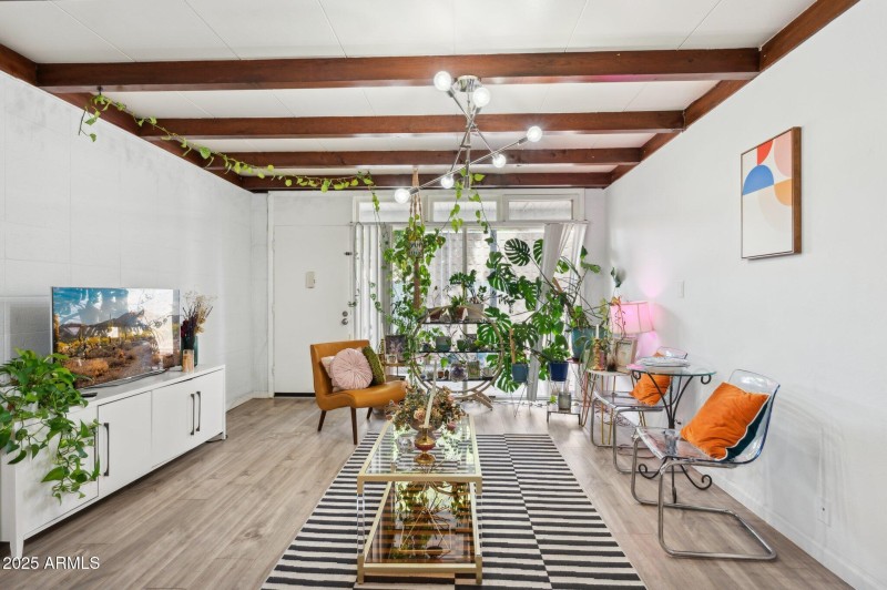 Your plants will love it here!