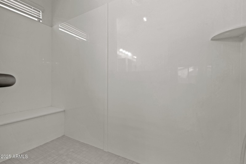 Primary Zero Step Entrance Shower