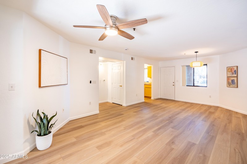 brand new LVP flooring throughout