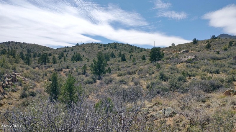 Interior Lot 5