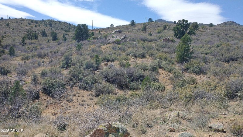 Interior Lot 6