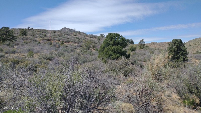 Interior Lot 10