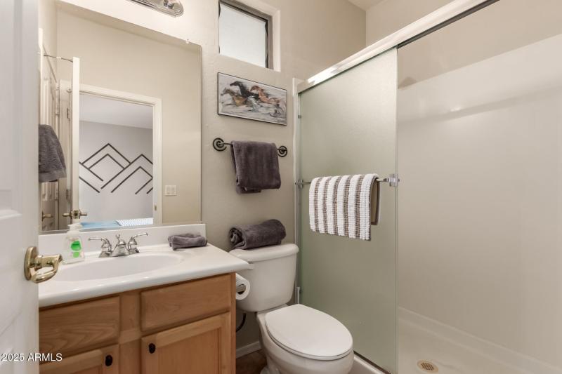 29 - Desert Honeysuckle