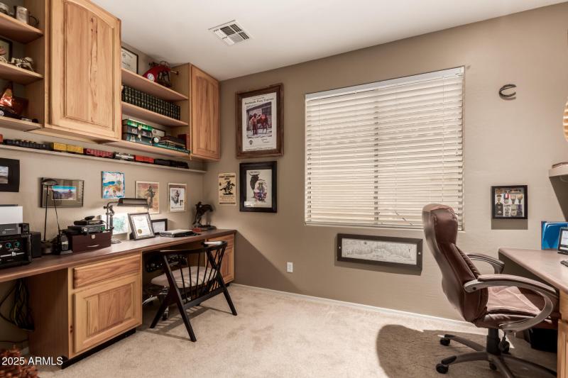 33 - Desert Honeysuckle