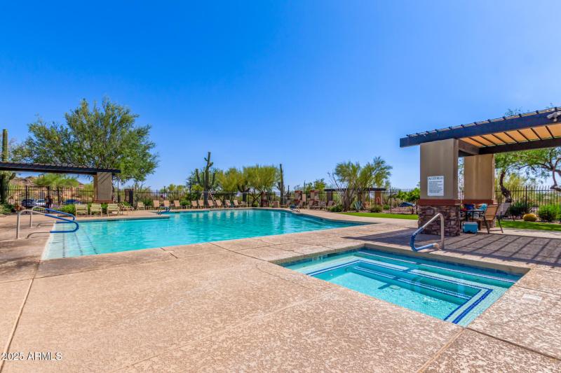 49 - Desert Honeysuckle