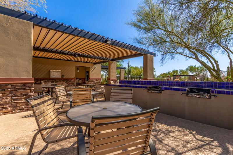 51 - Desert Honeysuckle