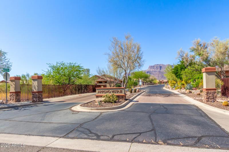 55 - Desert Honeysuckle