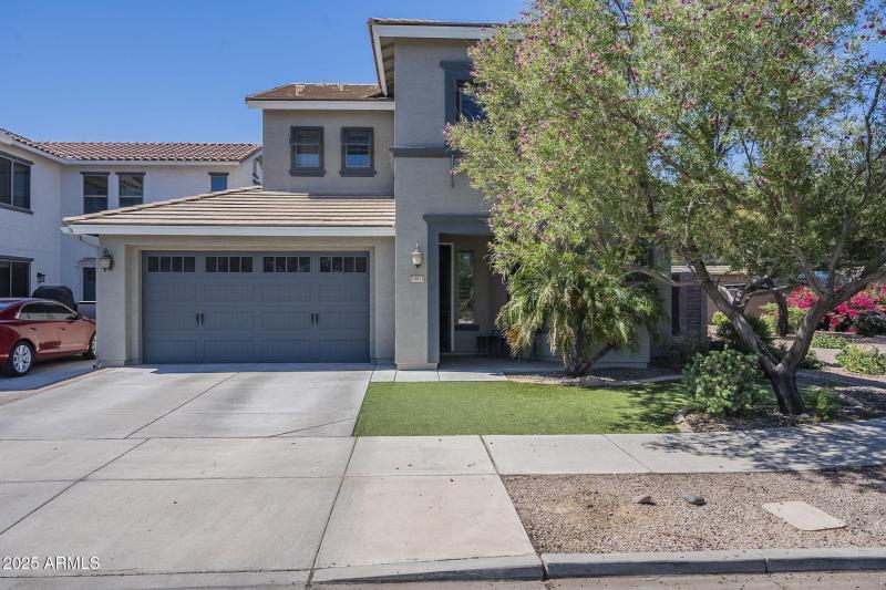 2-web-or-mls-Pelican-2