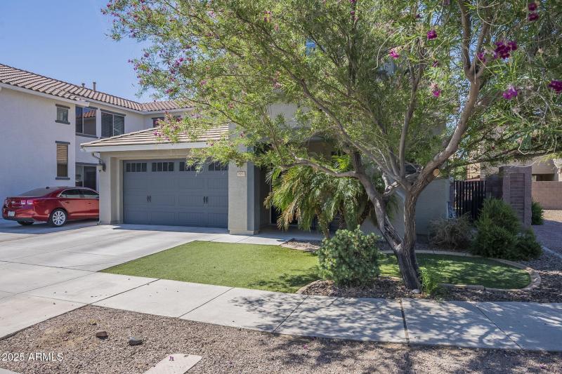 3-web-or-mls-Pelican-3