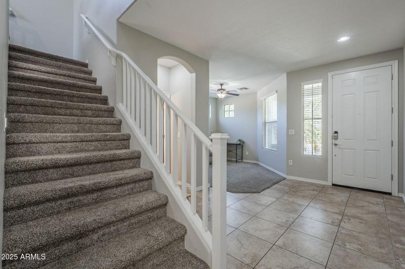 9-web-or-mls-Pelican-9