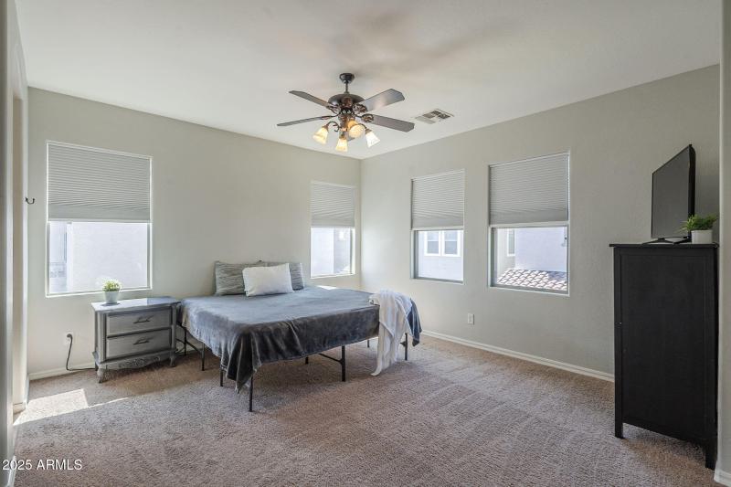 30-web-or-mls-Pelican-30