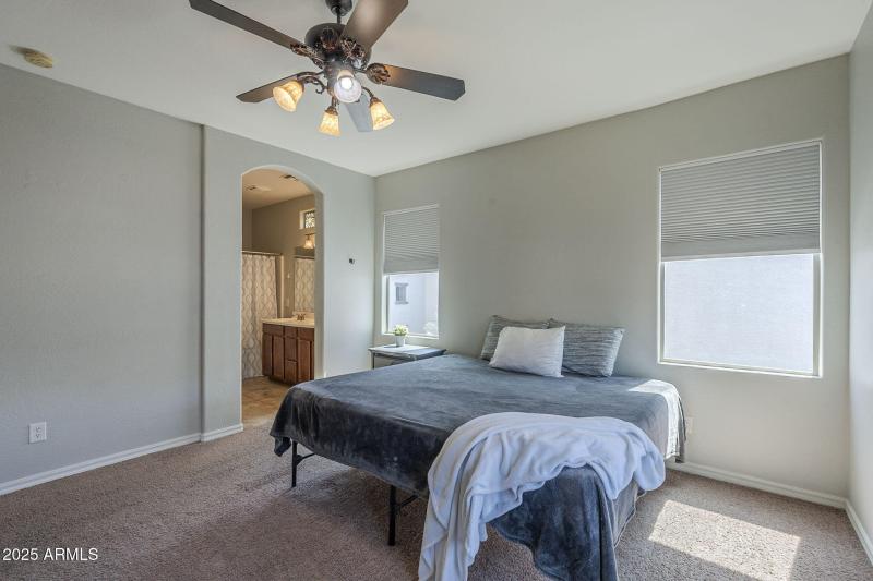 32-web-or-mls-Pelican-32