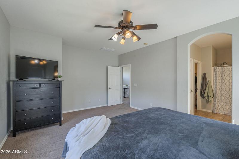 33-web-or-mls-Pelican-33