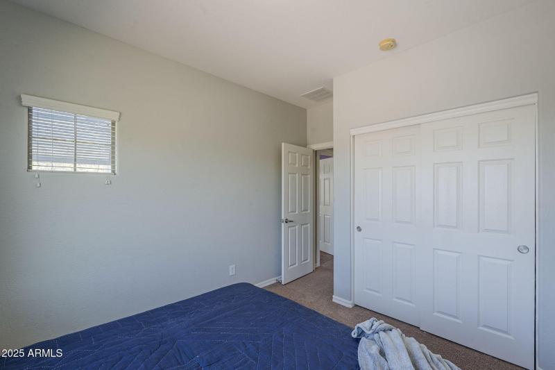 38-web-or-mls-Pelican-38