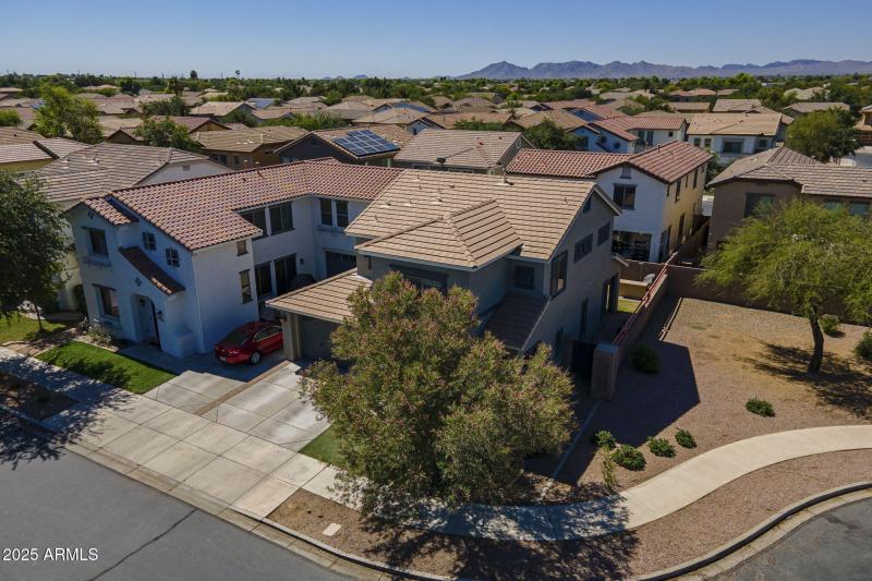 50-web-or-mls-Pelican-50