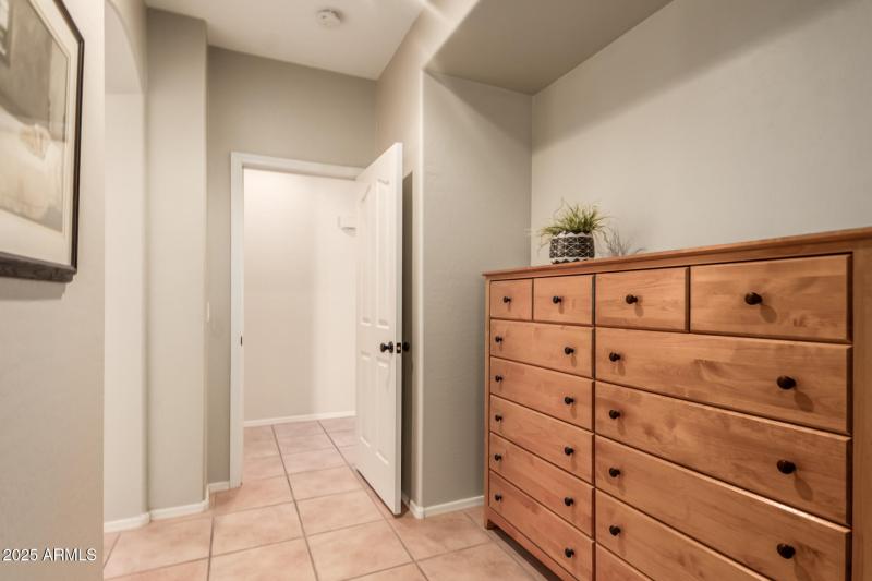 19 - Desert Honeysuckle