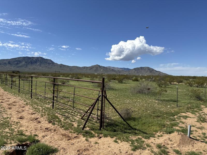 73256342597__7142DEB7-1DA6-4D13-B304-2C9