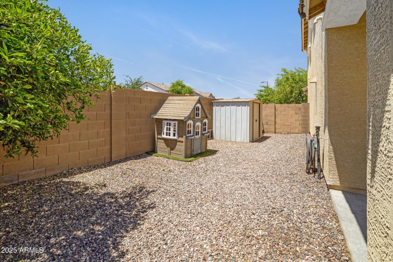 South side back yard