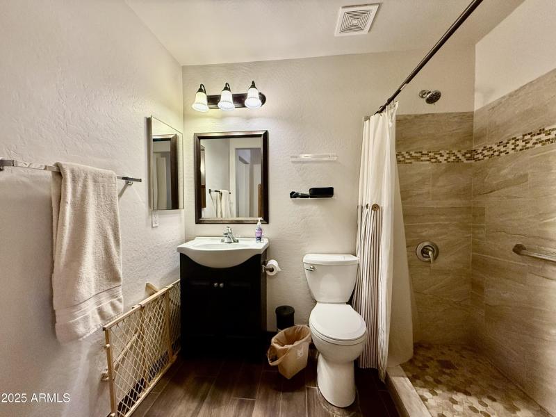 Downstairs Primary Suite Bathroom