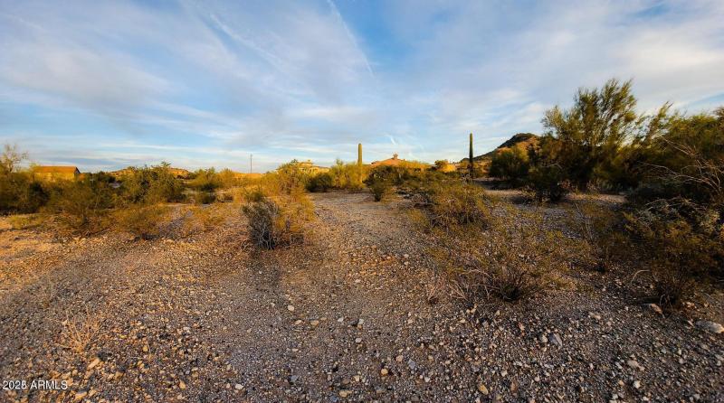 Love the Potentail Designs